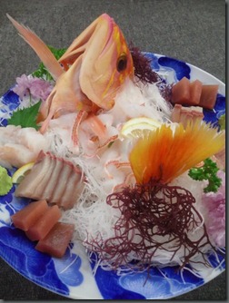 543240_213768458737092_100003118189281_371904_1173253941_n