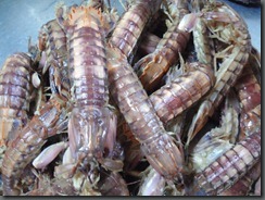 563739_214437992003472_100003118189281_372972_1170856662_n